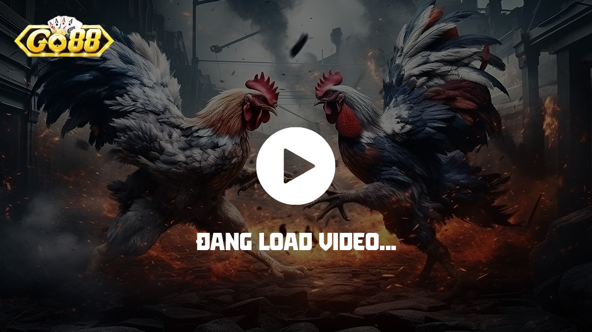 Người chơi nên lưu ý lựa chọn nền tảng có hệ thống vận hành ổn định và minh bạch